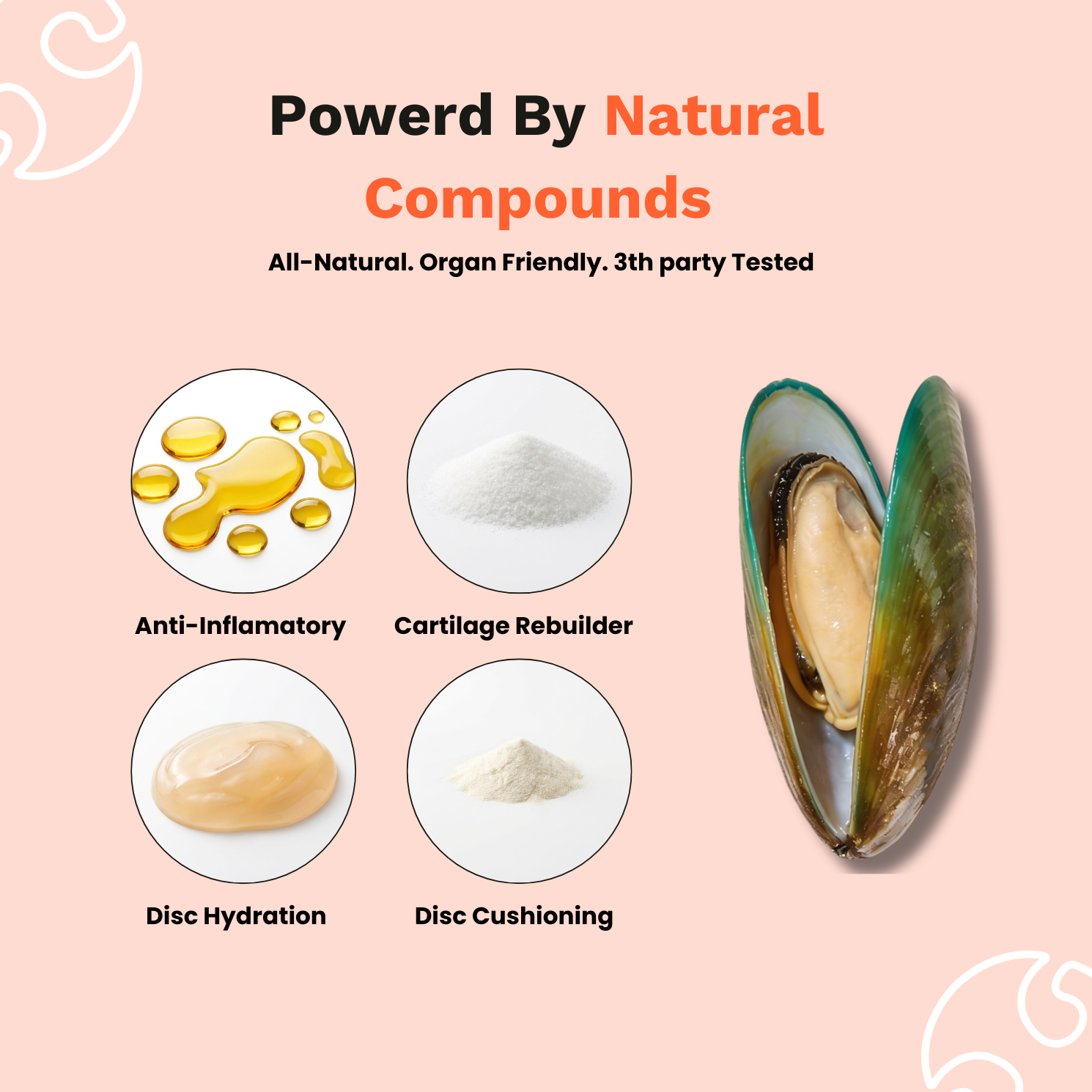 The Paw Parent - Spine & Disc Powder