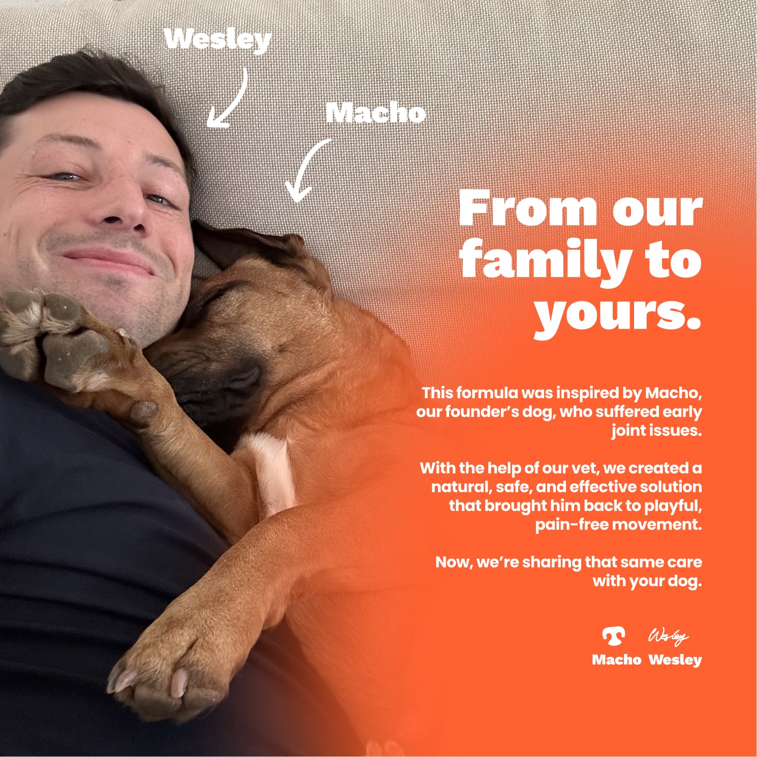 The Paw Parent - Hip & Joint Powder