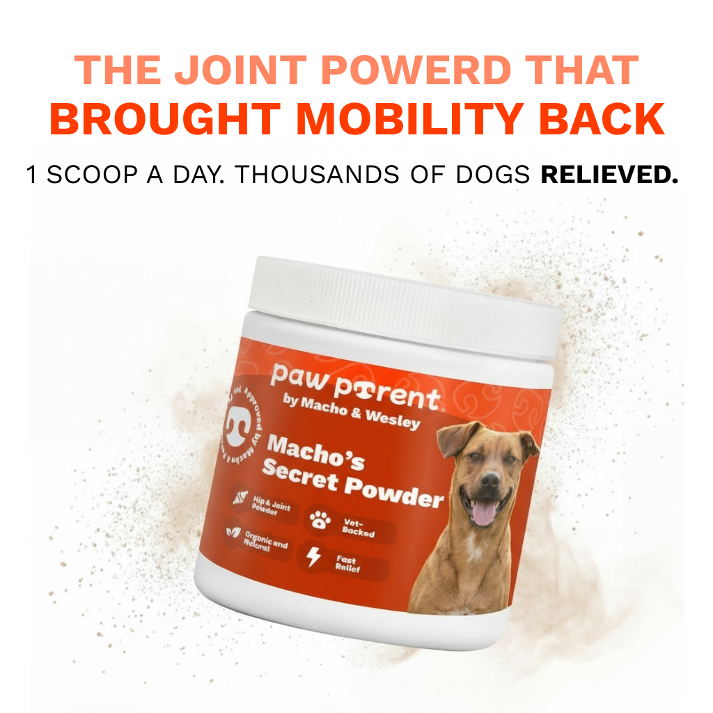 The Paw Parent - ACL Powder