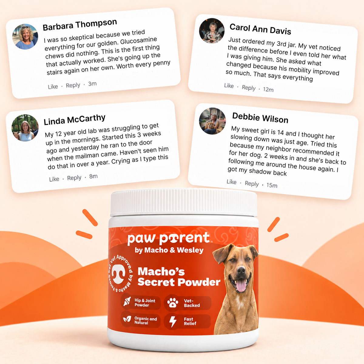 Hip & Joint Powder