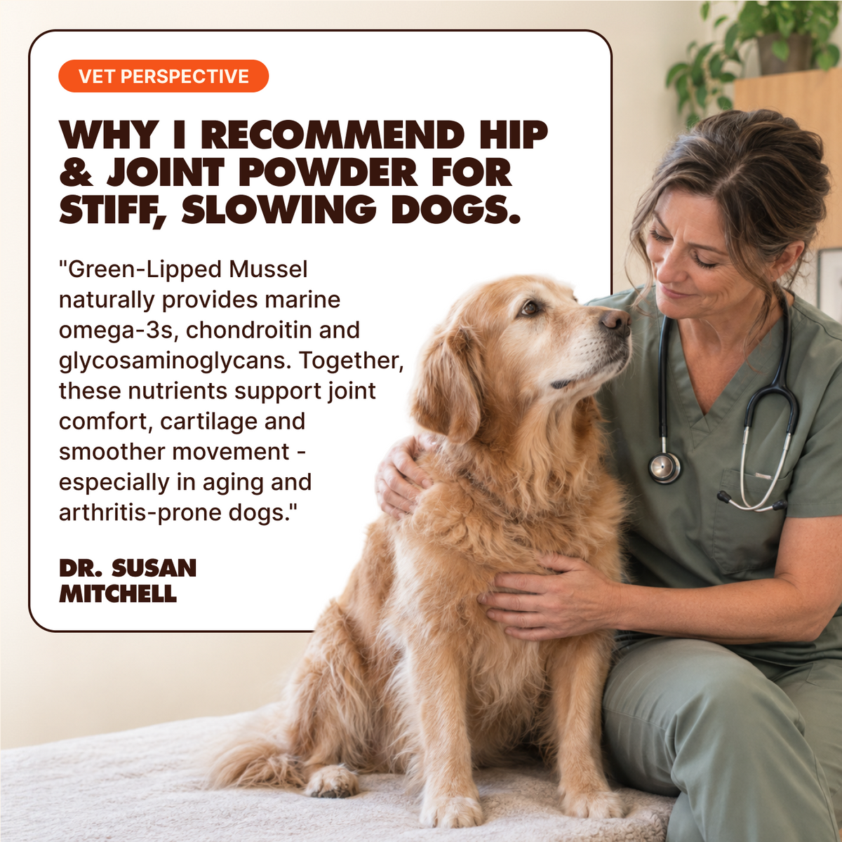 Hip & Joint Powder