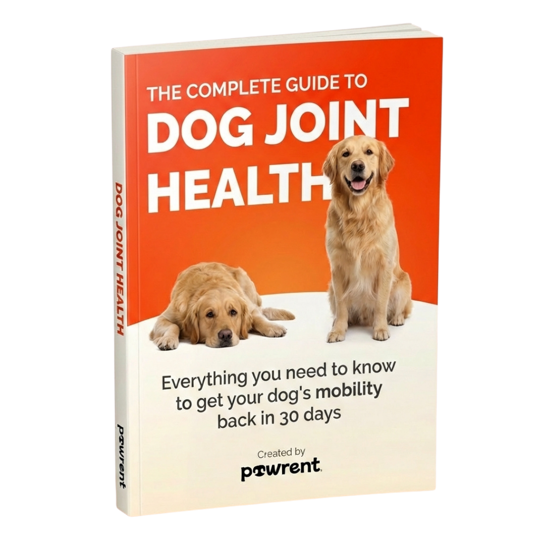 The Complete Guide To Dog Joint Health