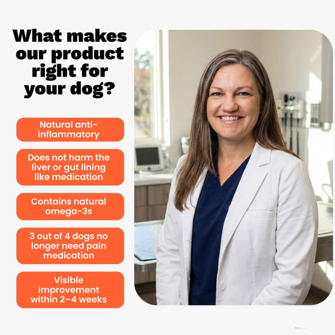 The Paw Parent - Hip & Joint Powder