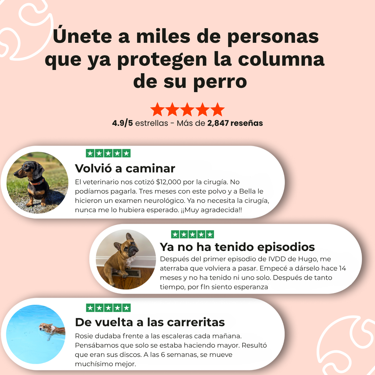 Spanish promotional graphic with a peach background, large headline text, a row of five star ratings, and three white rounded review cards showing dog owner testimonials with photos of dogs and review titles.