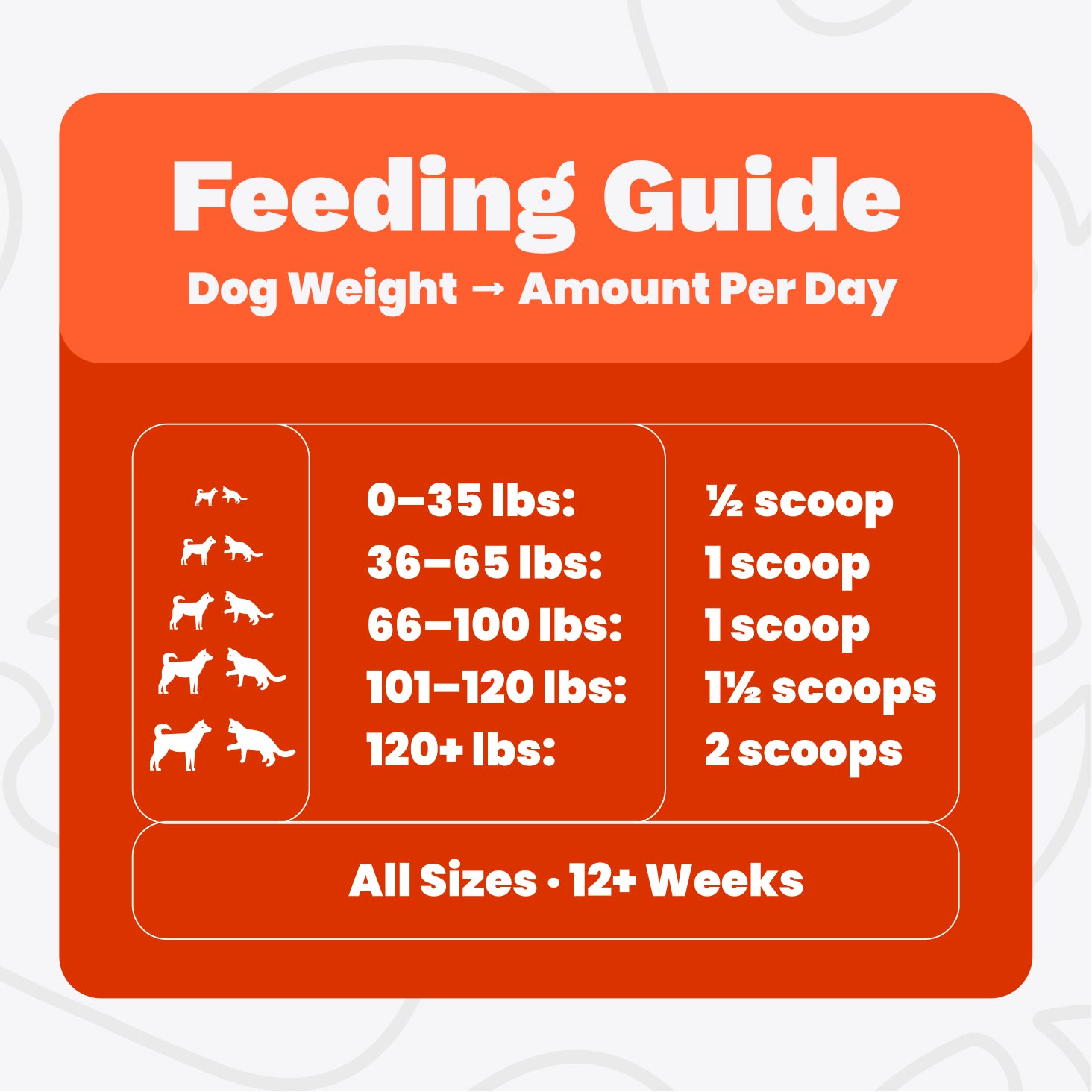 The Paw Parent - Hip & Joint Powder