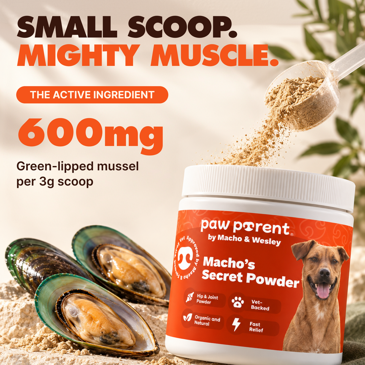 Hip & Joint Powder