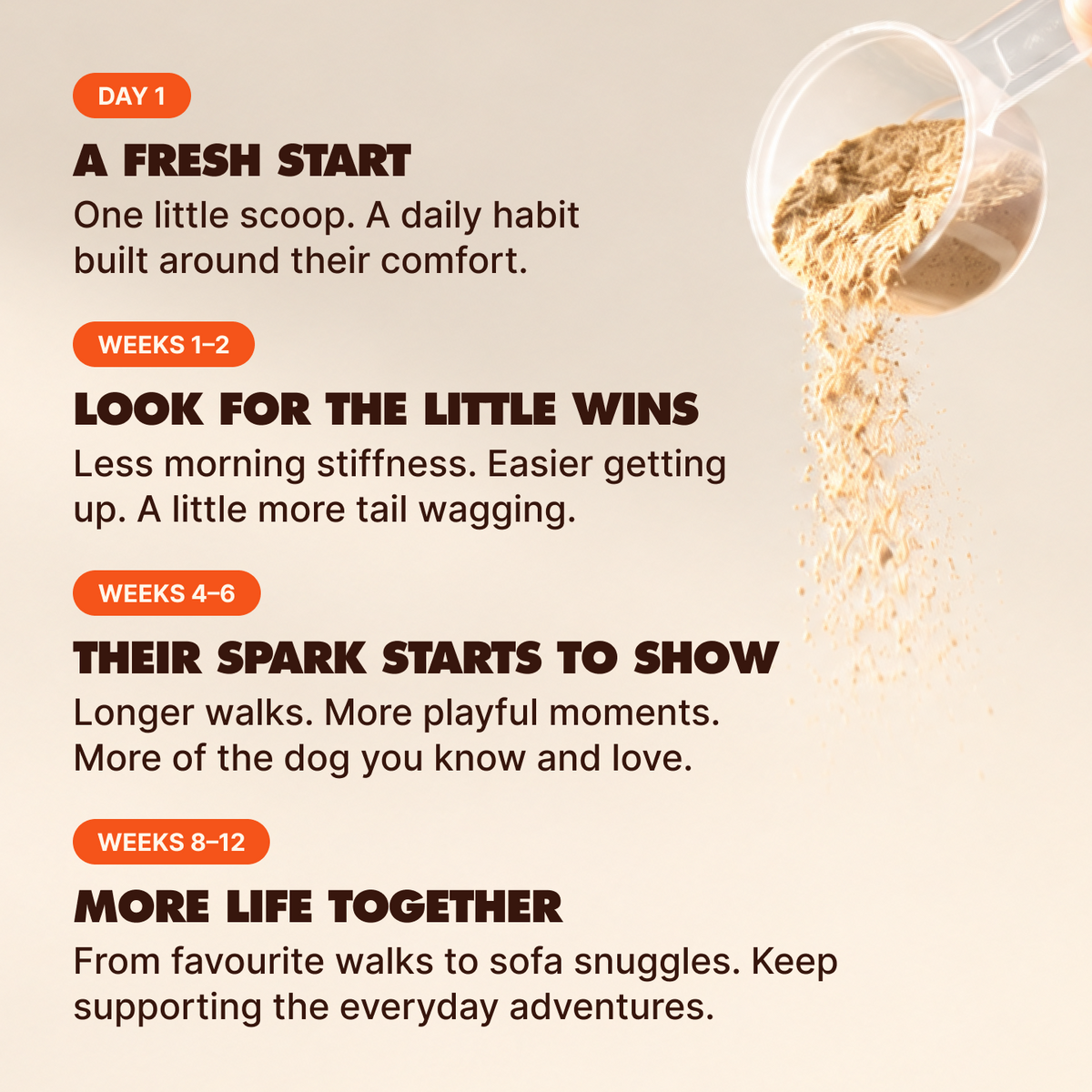 Hip & Joint Powder