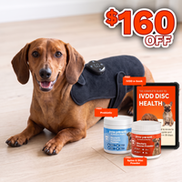 IVDD Prevention Bundle with $160 off and three free gifts