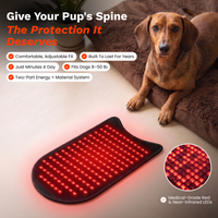 Medical-grade red and near-infrared LEDs inside the vest