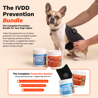 The IVDD Prevention Bundle: vest, Spine & Disc Powder and Probiotic Powder