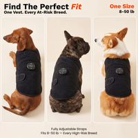 One size fits dogs from 8 to 50 lb: dachshund, French Bulldog and corgi in the vest