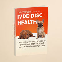 The Complete Guide To IVDD Disc Health