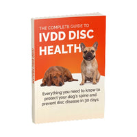 IVDD Guide + Protocol Card