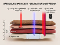 Light penetration comparison: cheap red-light wrap vs clinic cold laser vs our dual-spectrum vest