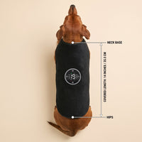 Vest coverage on a dachshund, neck to hips