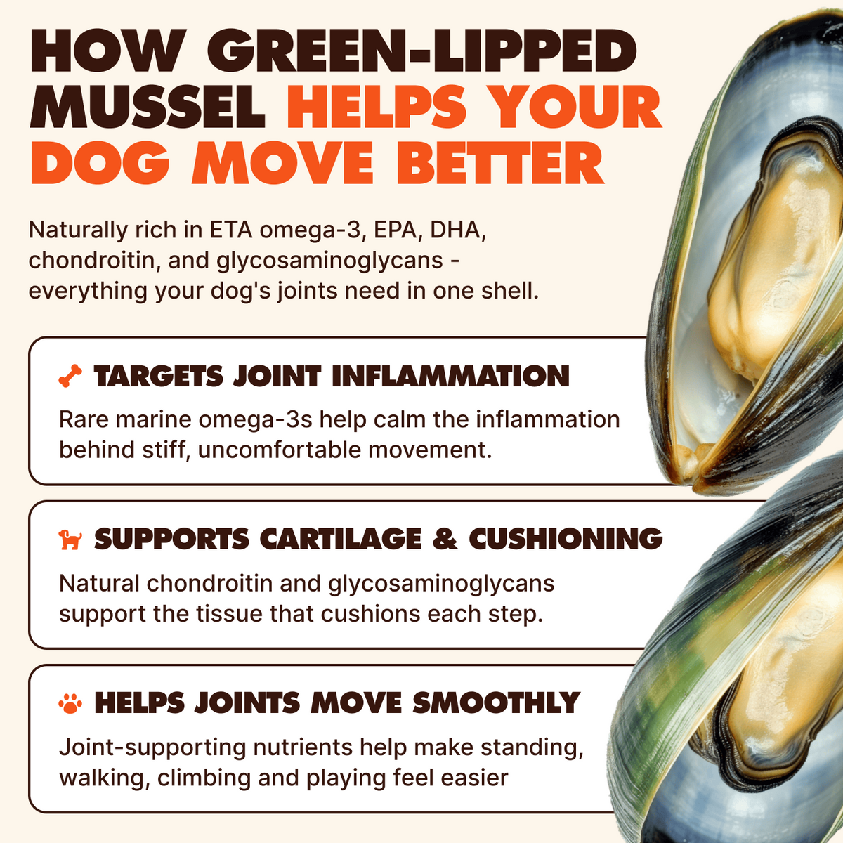 Hip & Joint Powder