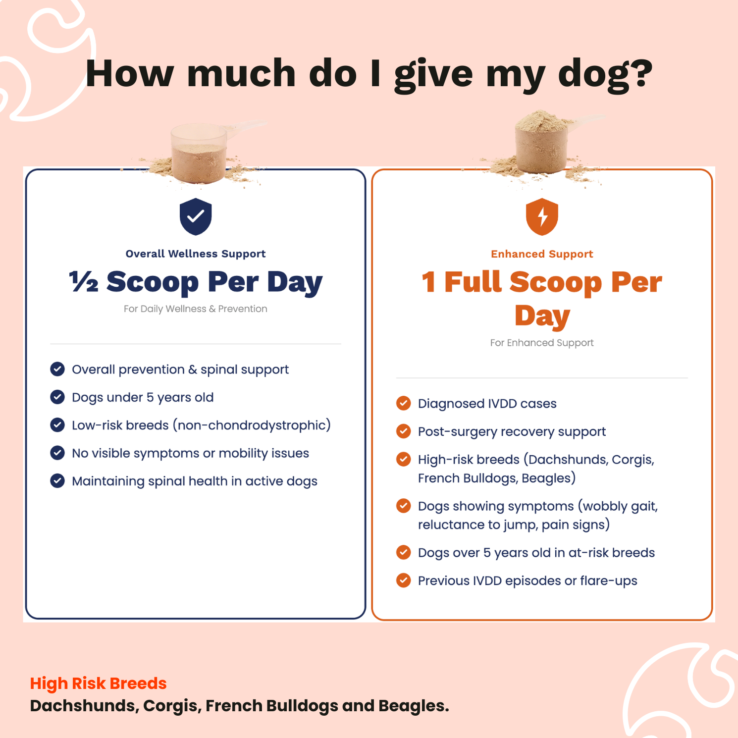 The Paw Parent - Spine & Disc Powder