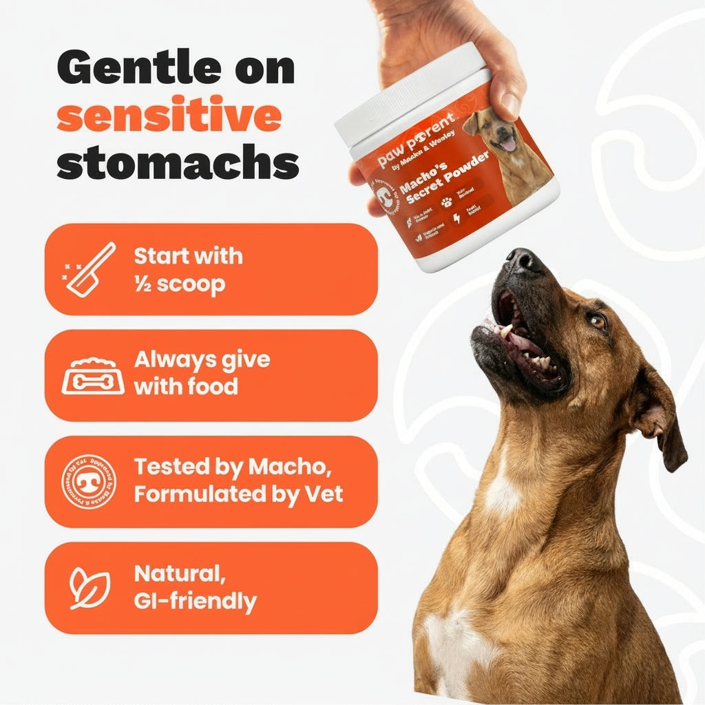 The Paw Parent - Hip & Joint Powder