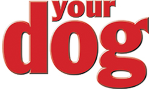Your Dog Magazine