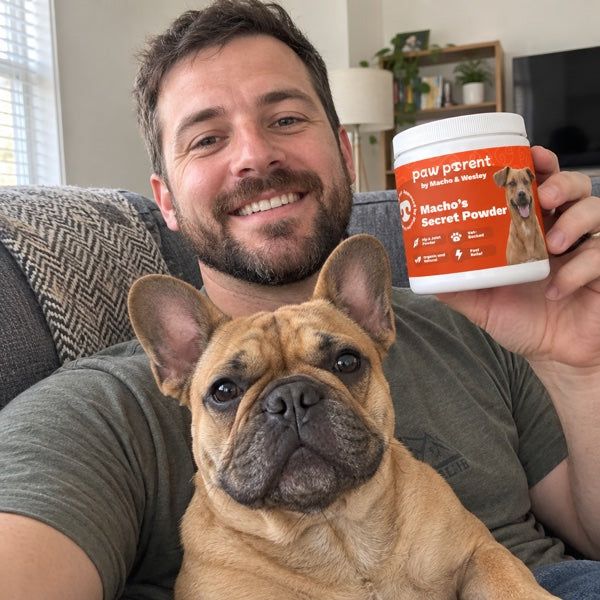 Hugo's owner, French Bulldog