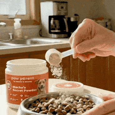 A scoop going into the bowl