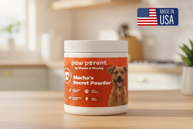 Spine & Disc Powder